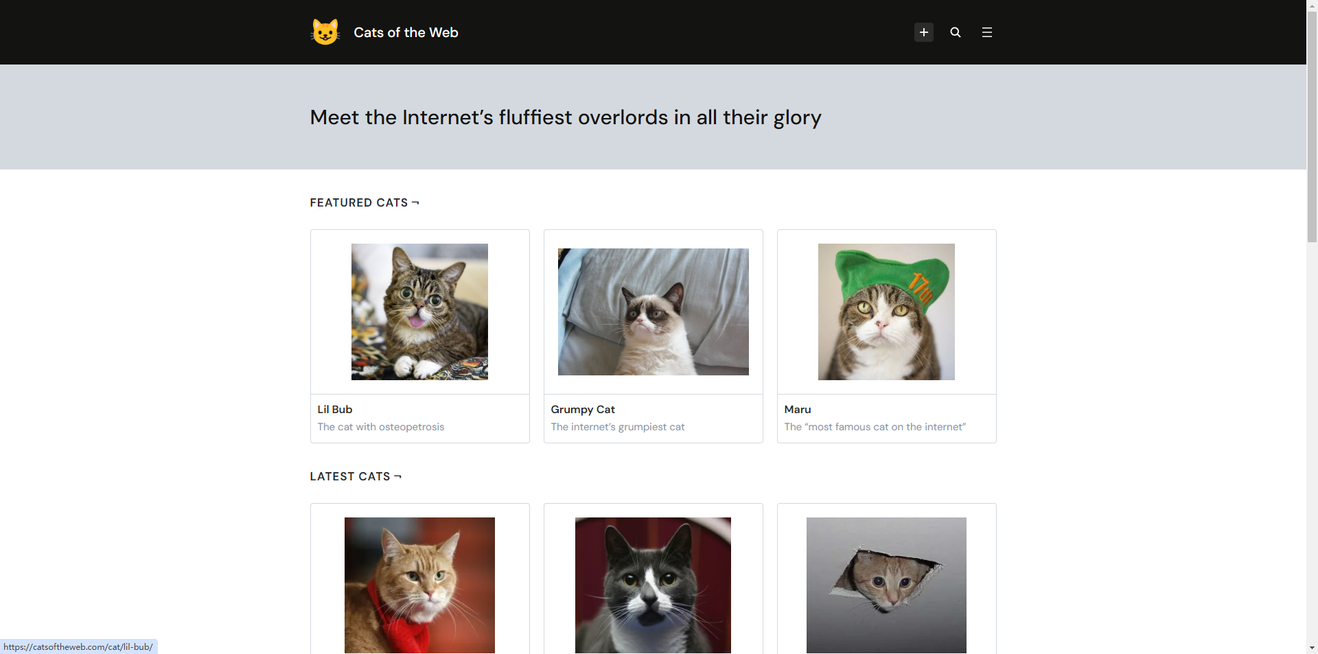 Exploring Cats of the Web: A Purr-fect Online Experience